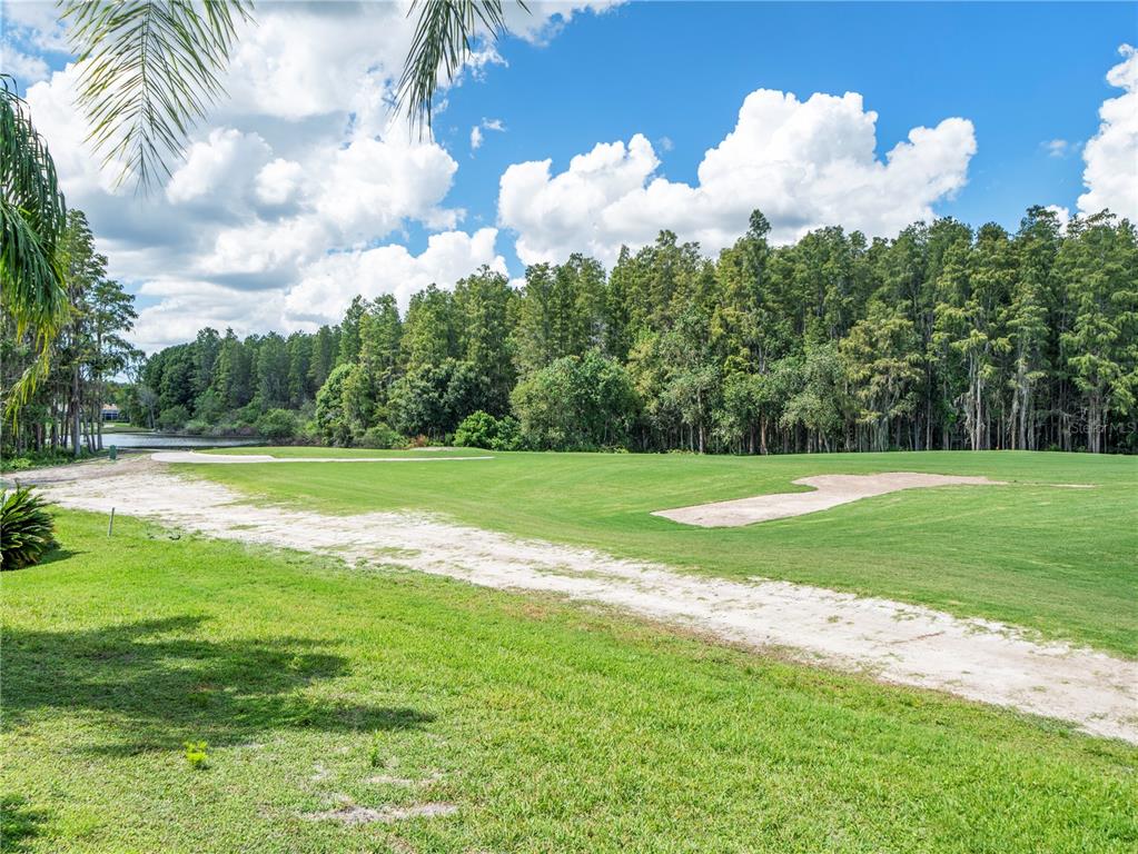 4529 Cheval Boulevard Lutz, FL 33558 - Photo 75 of 83 a view of a golf course with a lake