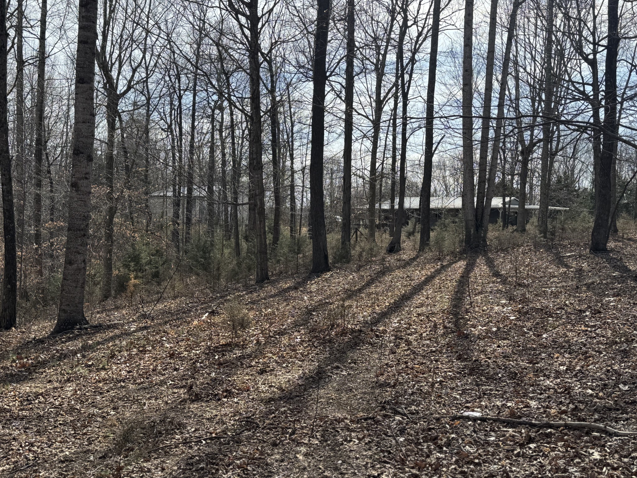 1475 Holland Road Lafayette, TN 37083 - Photo 11 of 12 a backyard of a house with lots of green space
