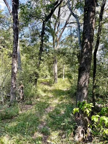 a yard with lots of green space