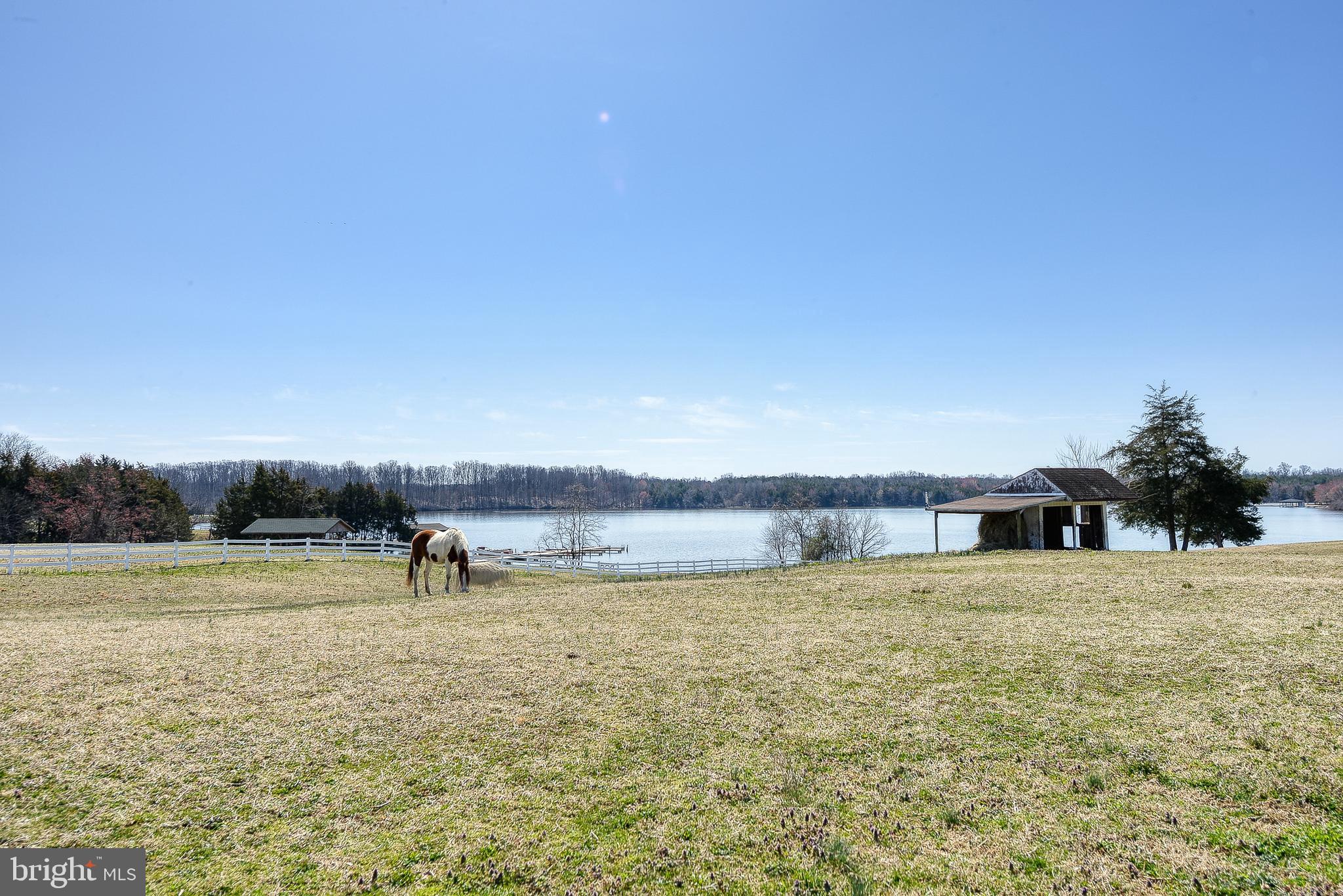 5900 Woodberry Farm Road Orange, VA 22960 - Photo 95 of 99 Front Pasture