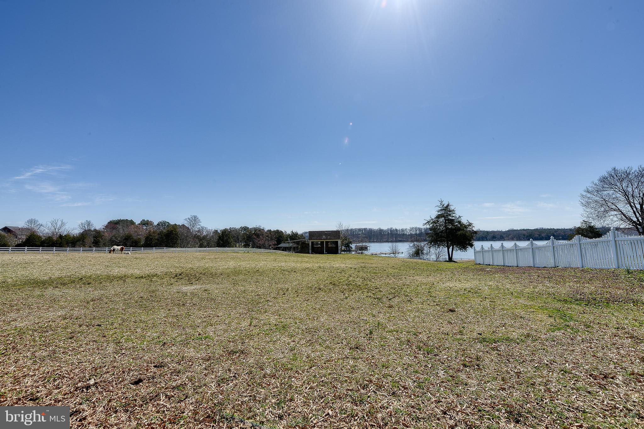5900 Woodberry Farm Road Orange, VA 22960 - Photo 96 of 99 Front Pasture
