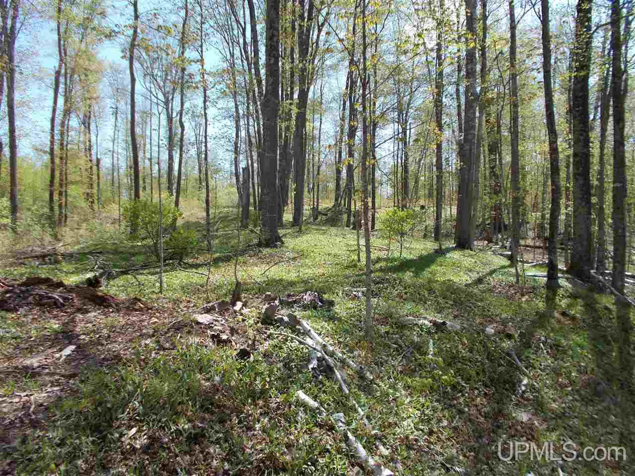 7202 Elm Road Republic, MI 49879 - Photo 14 of 36