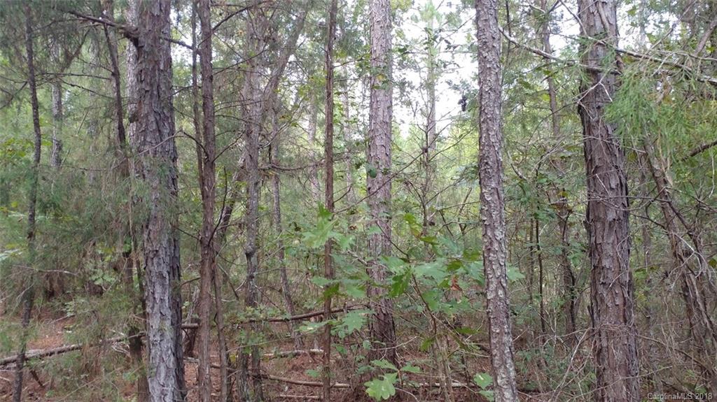 39-ac Starnes Road Edgemoor, SC 29712 - Photo 14 of 23