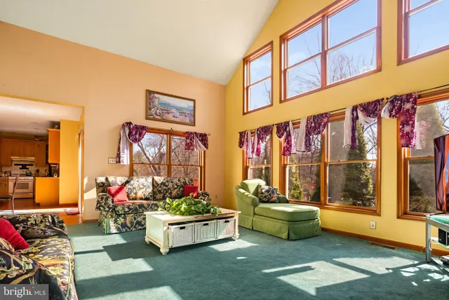 a living room filled with furniture and a potted plant