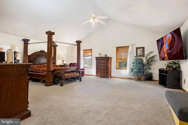 a living room with furniture a chandelier and a fireplace
