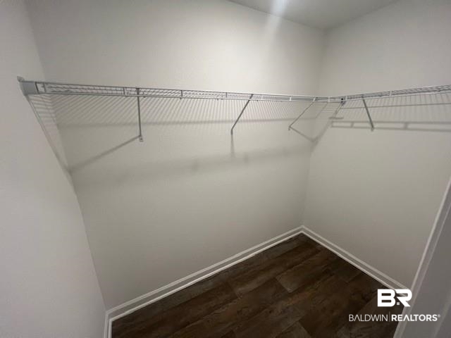 14717 Dayton Circle Foley, AL 36535 - Photo 28 of 39 Walk in closet featuring dark wood-type flooring