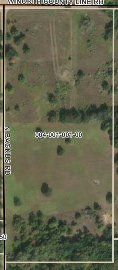 20 North Backus Road Lakeview, MI 48850 - Photo 1 of 2 Photo Mar 02, 8 51 08 PM