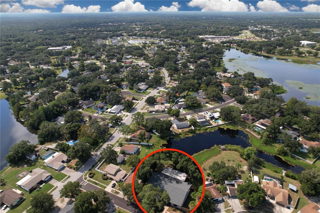 1413 Windjammer Loop Lutz, FL 33559 - Photo 5 of 78 Gallery Image 5