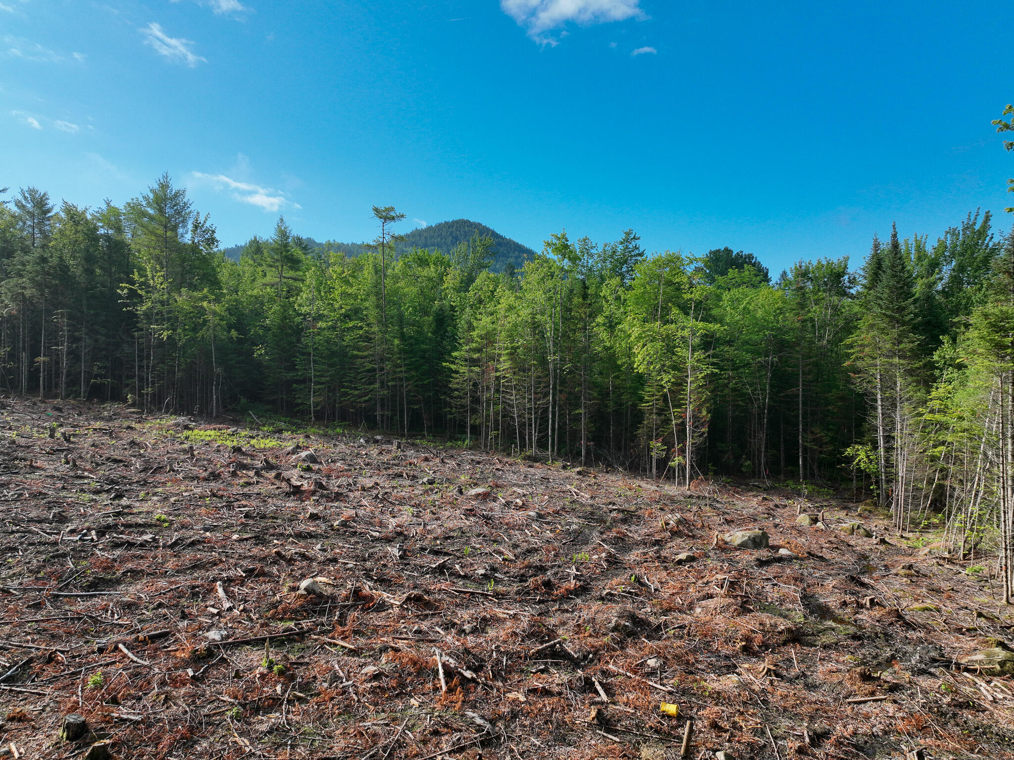 0 Old Country Road Dixfield, ME 04224 - Photo 10 of 17 DJI_0178