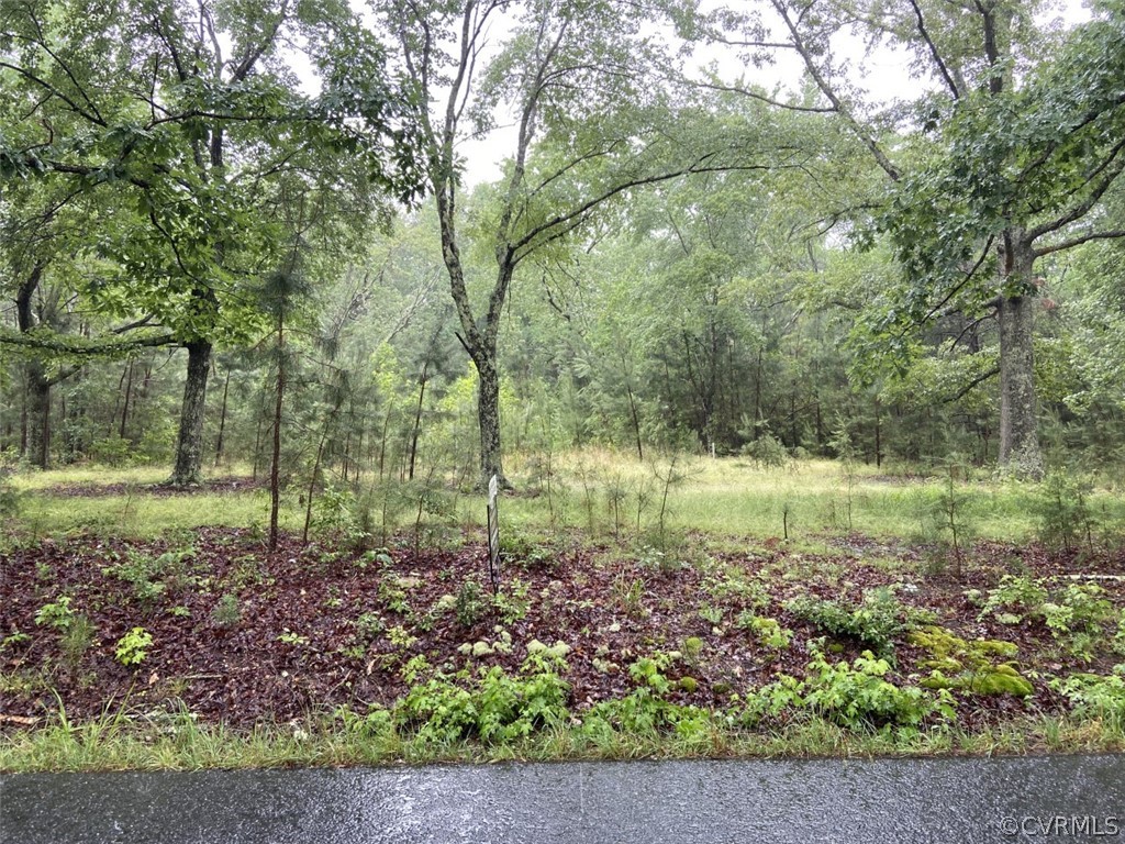 22652 File Road Bowling Green, VA 22427 - Photo 1 of 4 Gallery Image 1