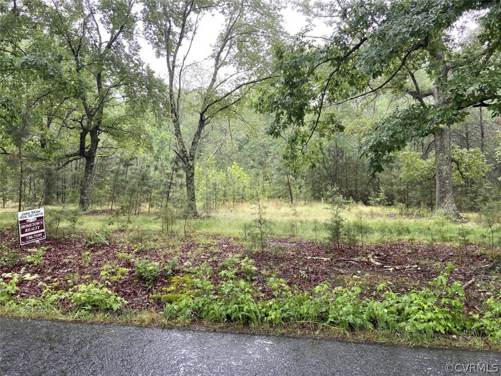 22652 File Road Bowling Green, VA 22427 - Photo 2 of 4 Gallery Image 2
