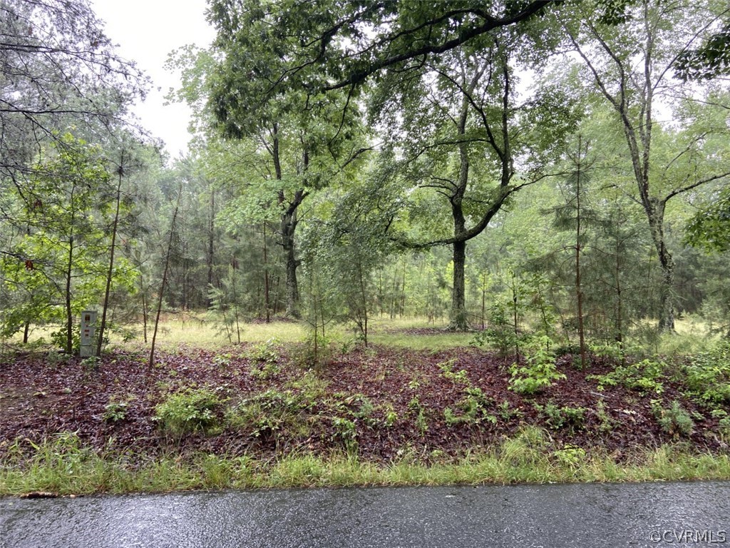 22652 File Road Bowling Green, VA 22427 - Photo 3 of 4 Gallery Image 3