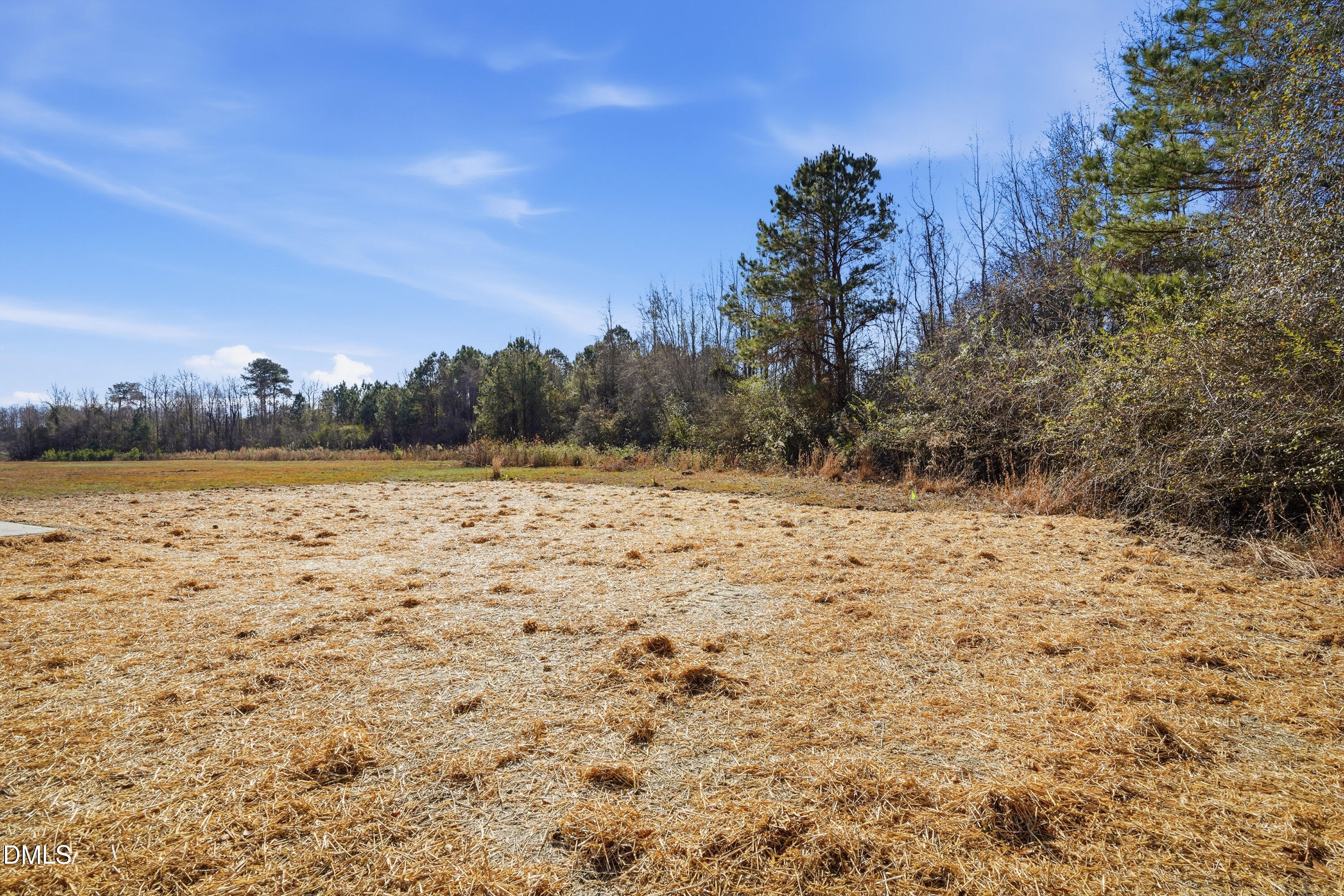 1115 Jada Allen Road Dunn, NC 28334 - Photo 27 of 32 a view of a lake view
