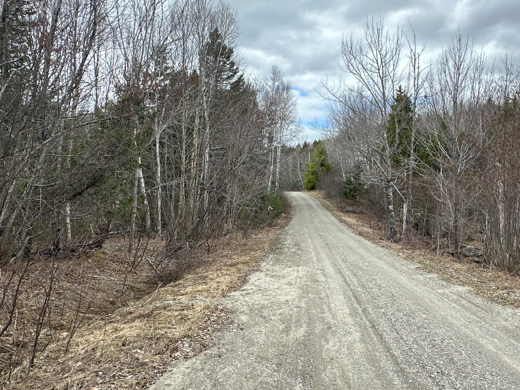 Lot 16 Upper Dobsis Road Lakeville, ME 04487 - Photo 22 of 26 22