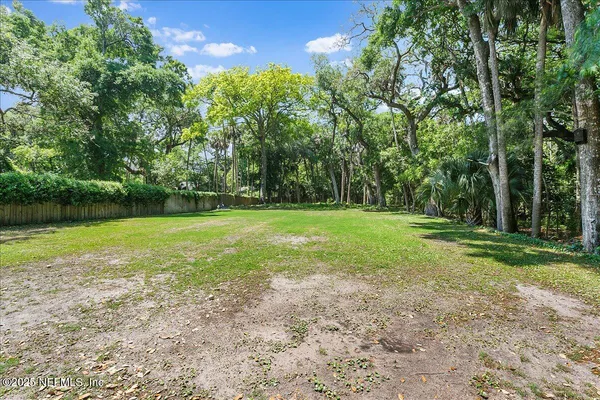 a view of a yard with plants and trees beside of it