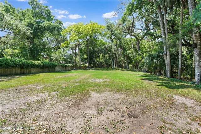 a view of a yard with plants and trees beside of it