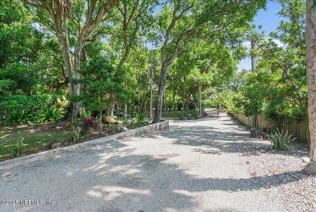 a view of a park with plants and a bench