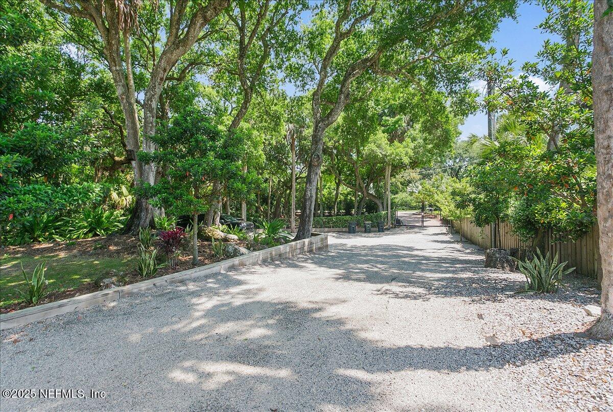 2446 Seminole Road Atlantic Beach, FL 32233 - Photo 37 of 45 a view of a yard with plants and trees beside of it