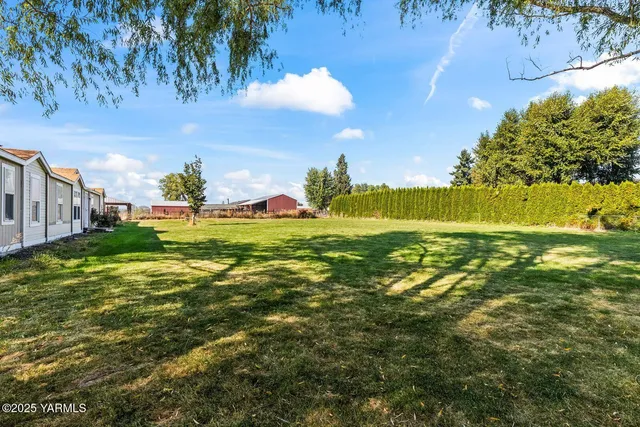 a view of an ocean beach