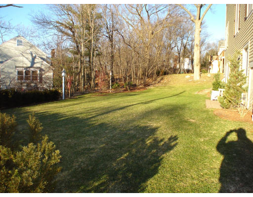 23 Bird Hill Road Lexington, MA 02421 - Photo 25 of 30 a view of yard with large trees
