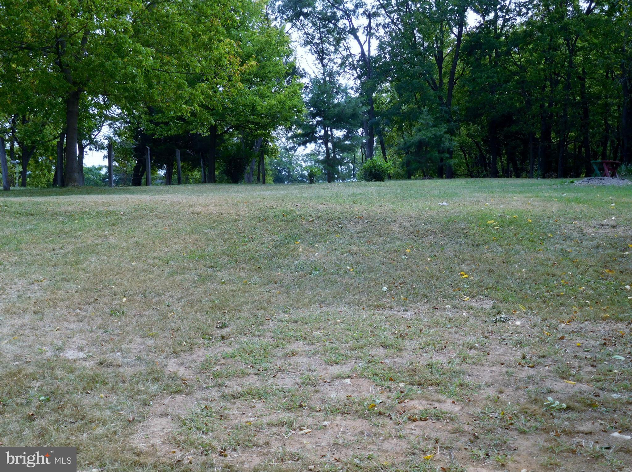 237 Gun Barrel Road White Post, VA 22663 - Photo 13 of 30 Exterior (Rear)