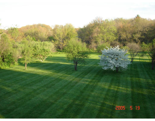 532 Lexington Road Concord, MA 01742 - Photo 19 of 20 a view of a garden with mountains