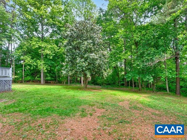 259 Spring Oaks Lane Ruckersville, VA 22968 - Photo 43 of 44