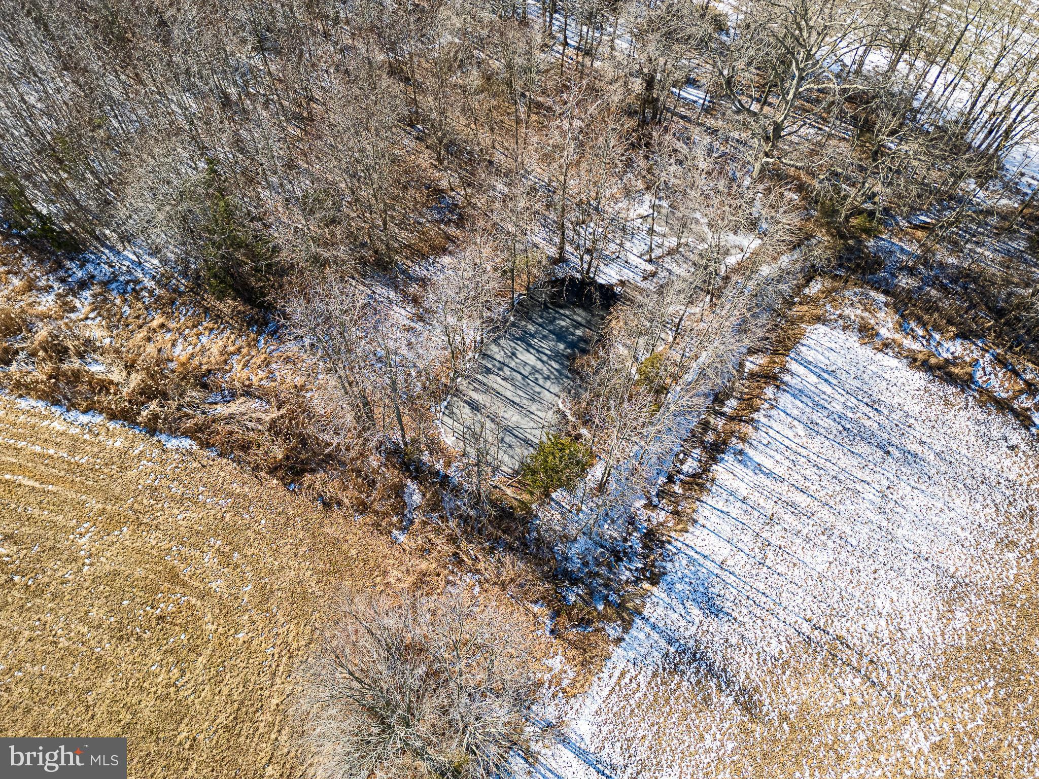 229 Saw Mill Branch Road Townsend, DE 19734 - Photo 42 of 44