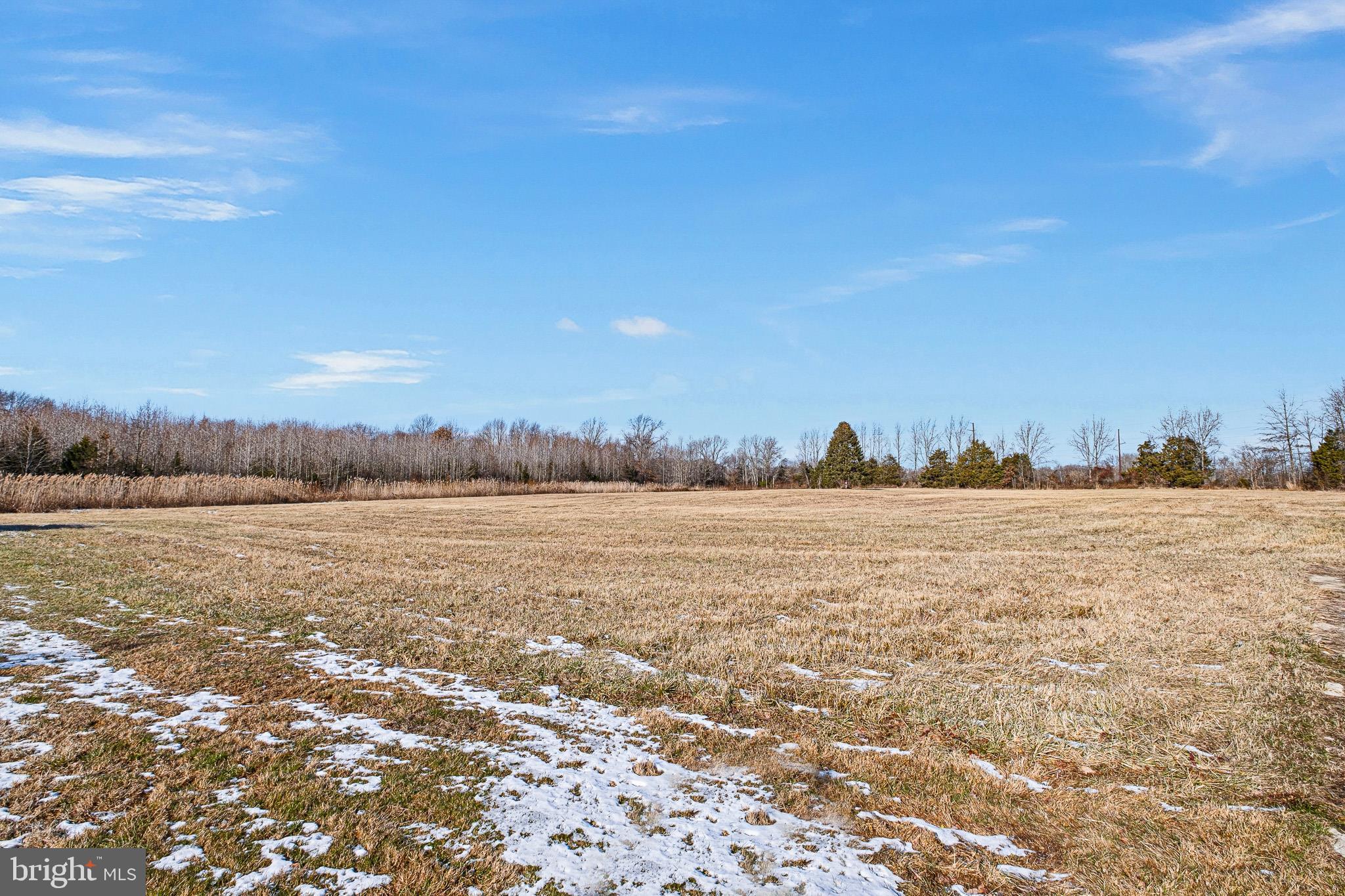 229 Saw Mill Branch Road Townsend, DE 19734 - Photo 43 of 44