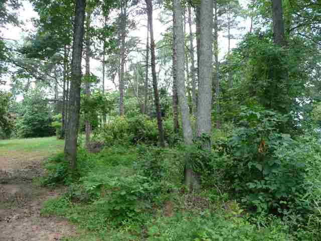 Lot 5 Adams Mill Road Mauldin, SC 29662 - Photo 1 of 8
