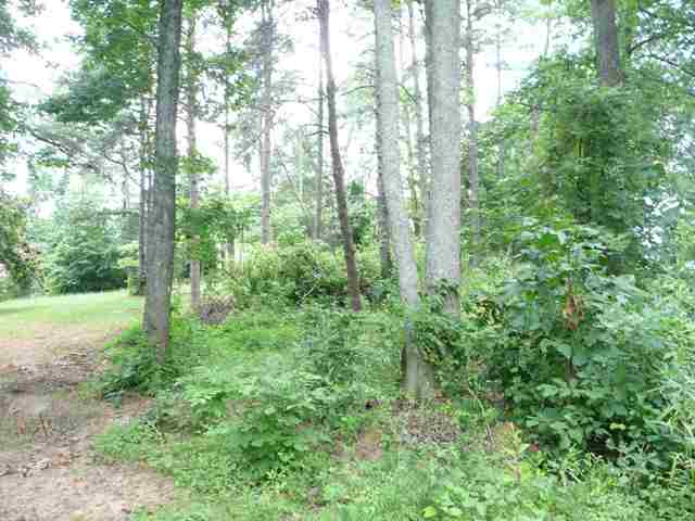 Lot 5 Adams Mill Road Mauldin, SC 29662 - Photo 5 of 8