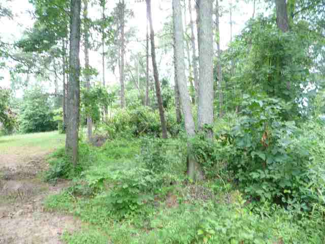 Lot 5 Adams Mill Road Mauldin, SC 29662 - Photo 6 of 8
