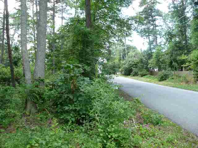 Lot 5 Adams Mill Road Mauldin, SC 29662 - Photo 7 of 8