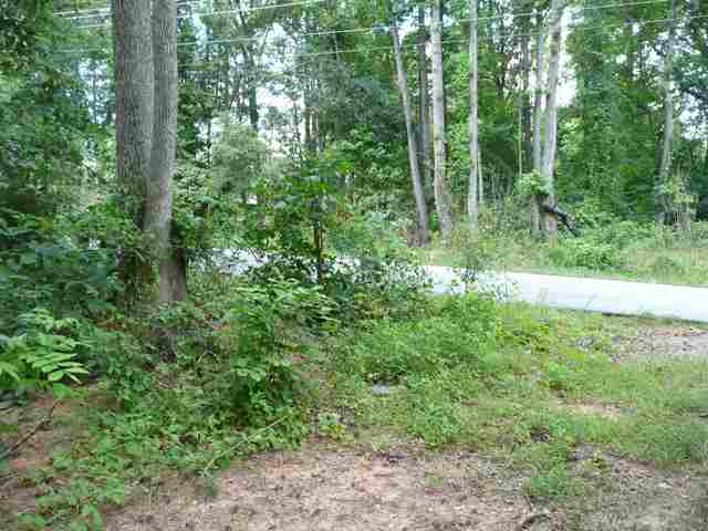Lot 5 Adams Mill Road Mauldin, SC 29662 - Photo 8 of 8