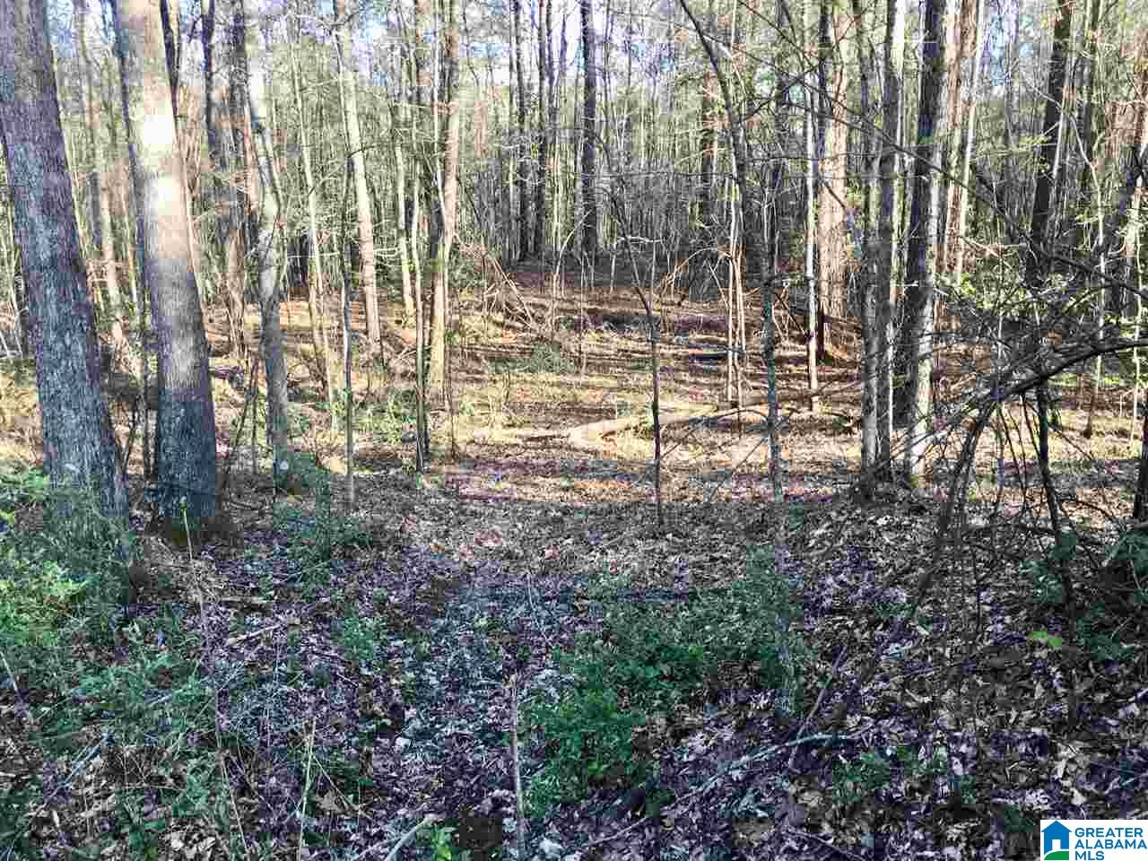 0 6th Street Alexander City, AL 35010 - Photo 2 of 13