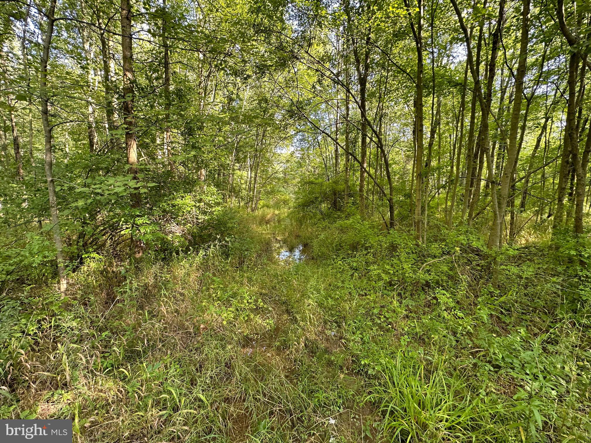 524 Ridge Valley Road Sellersville, PA 18960 - Photo 8 of 22