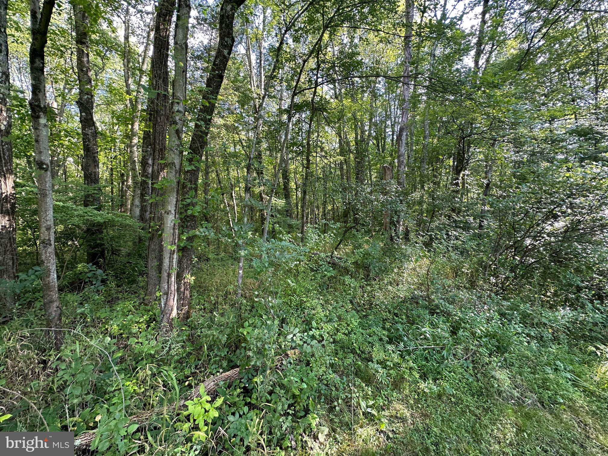 524 Ridge Valley Road Sellersville, PA 18960 - Photo 9 of 22