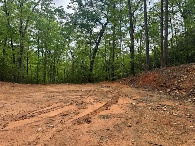 0 Tyler Lane Marble, NC 28905 - Photo 26 of 31