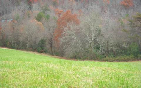 5.5-ac Sugar Creek Road Blue Ridge, GA 30513 - Photo 1 of 1 Main View