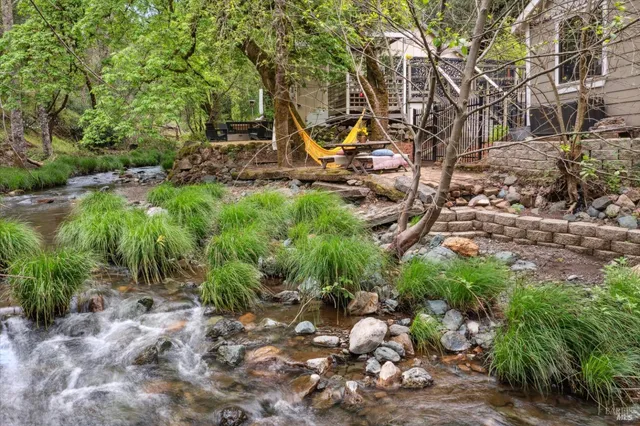 a view of a park with large trees