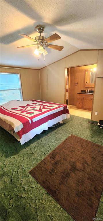 210 East Old Plank Road Chester, IL 62233 - Photo 21 of 30