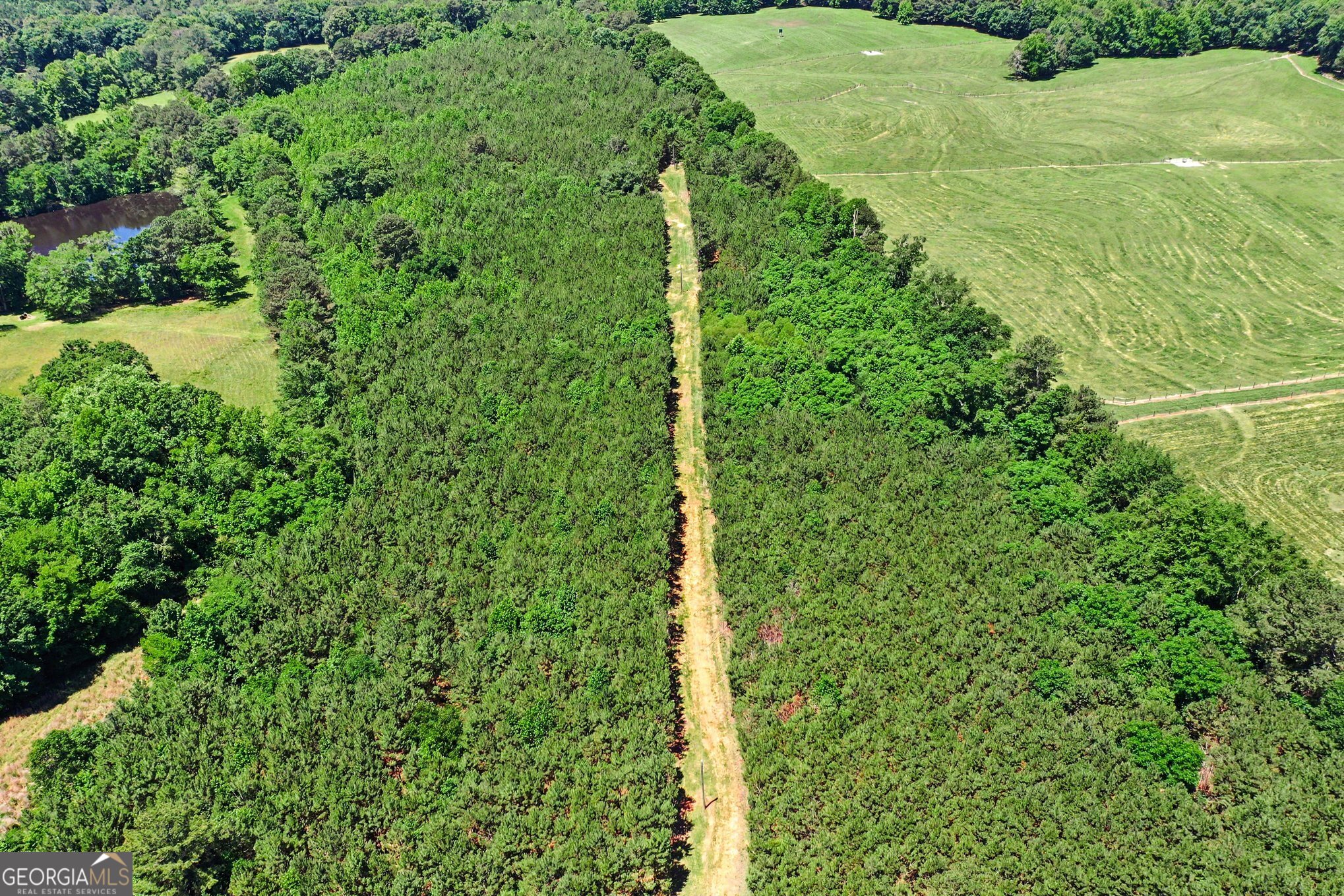 X0-x0 Court Ground Road Washington, GA 30673 - Photo 2 of 15