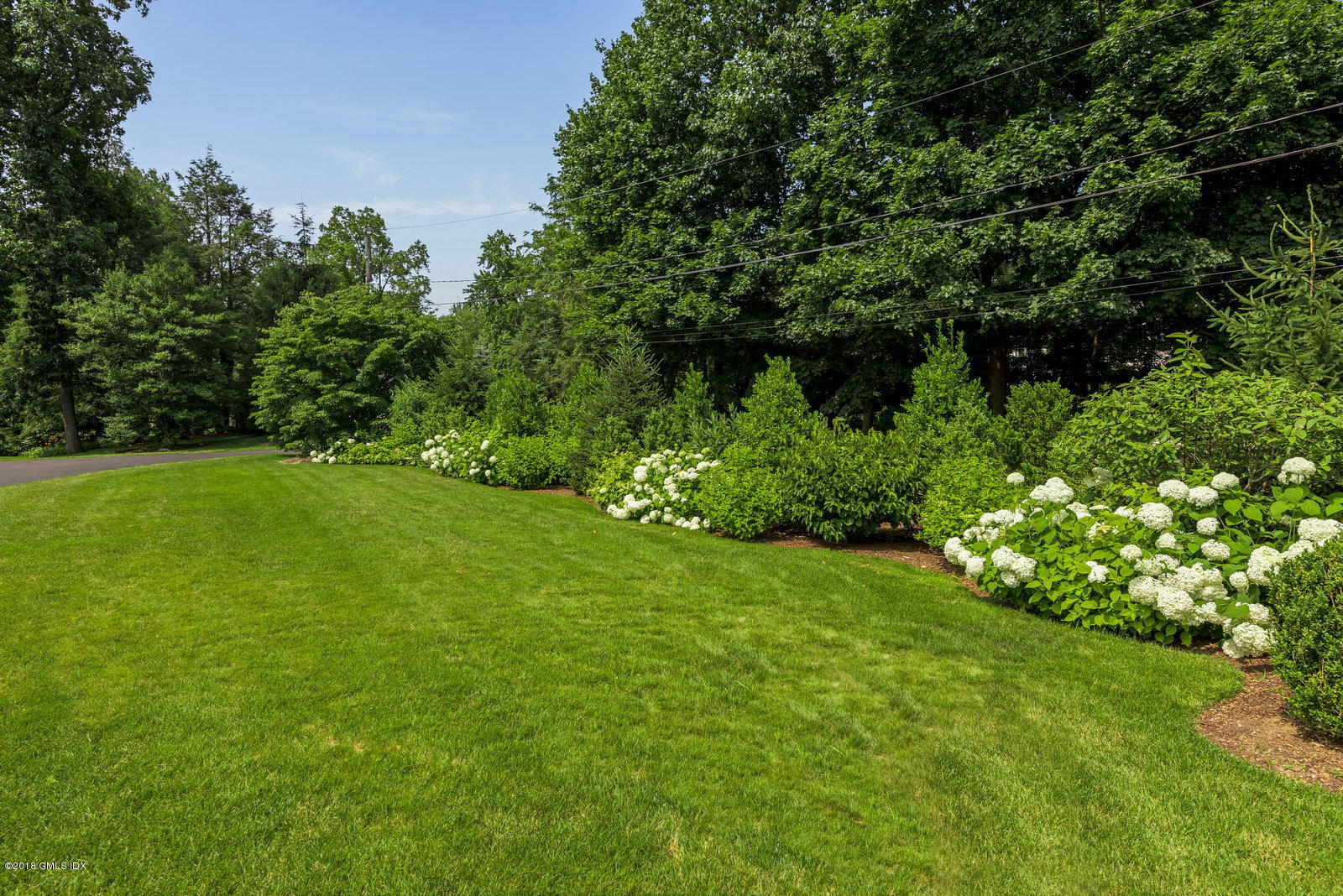136 Parsonage Road Greenwich, CT 06830 - Photo 34 of 35 a view of a garden with a tree