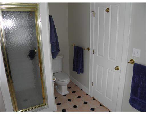 19 Oxford Road Ben Avon Heights, PA 15202 - Photo 13 of 18 Master Bath/Spa.