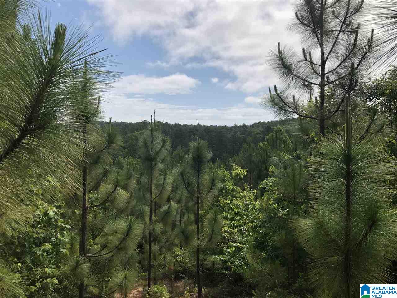 119-acres Double Branch Road, Unit 119 ACRES Marion, AL 36756 - Photo 2 of 26