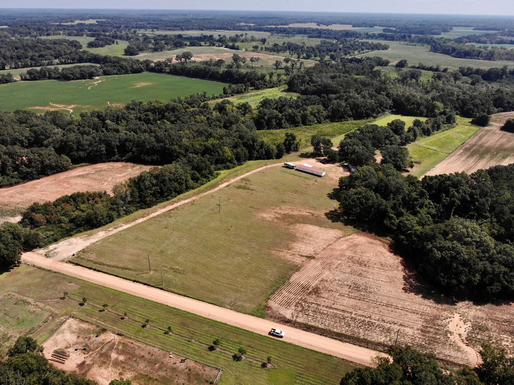 543 St Stephens Road Slocomb, AL 36375 - Photo 19 of 22