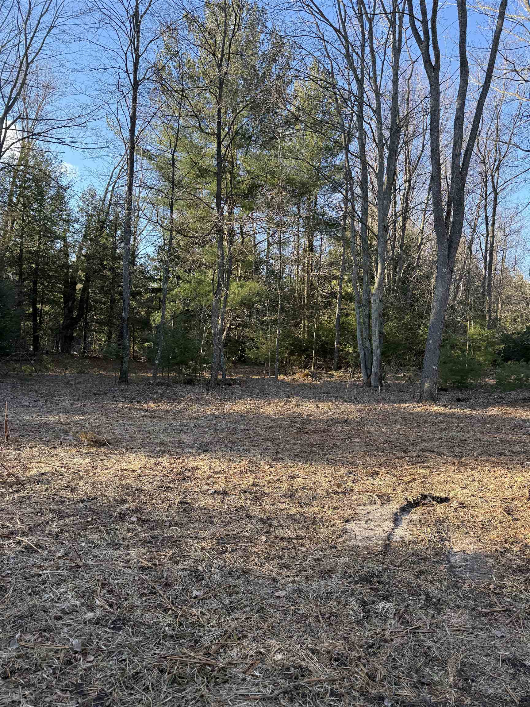 0 Demerly Road Benzonia, MI 49616 - Photo 6 of 6