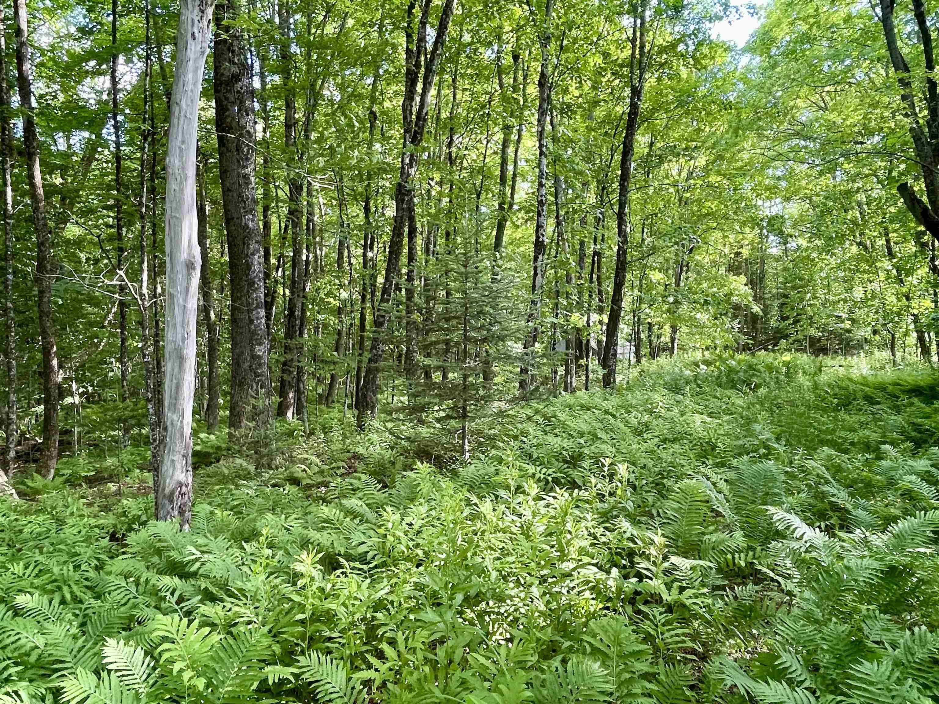 0 Old Farm Road West Burke, VT 05871 - Photo 10 of 14