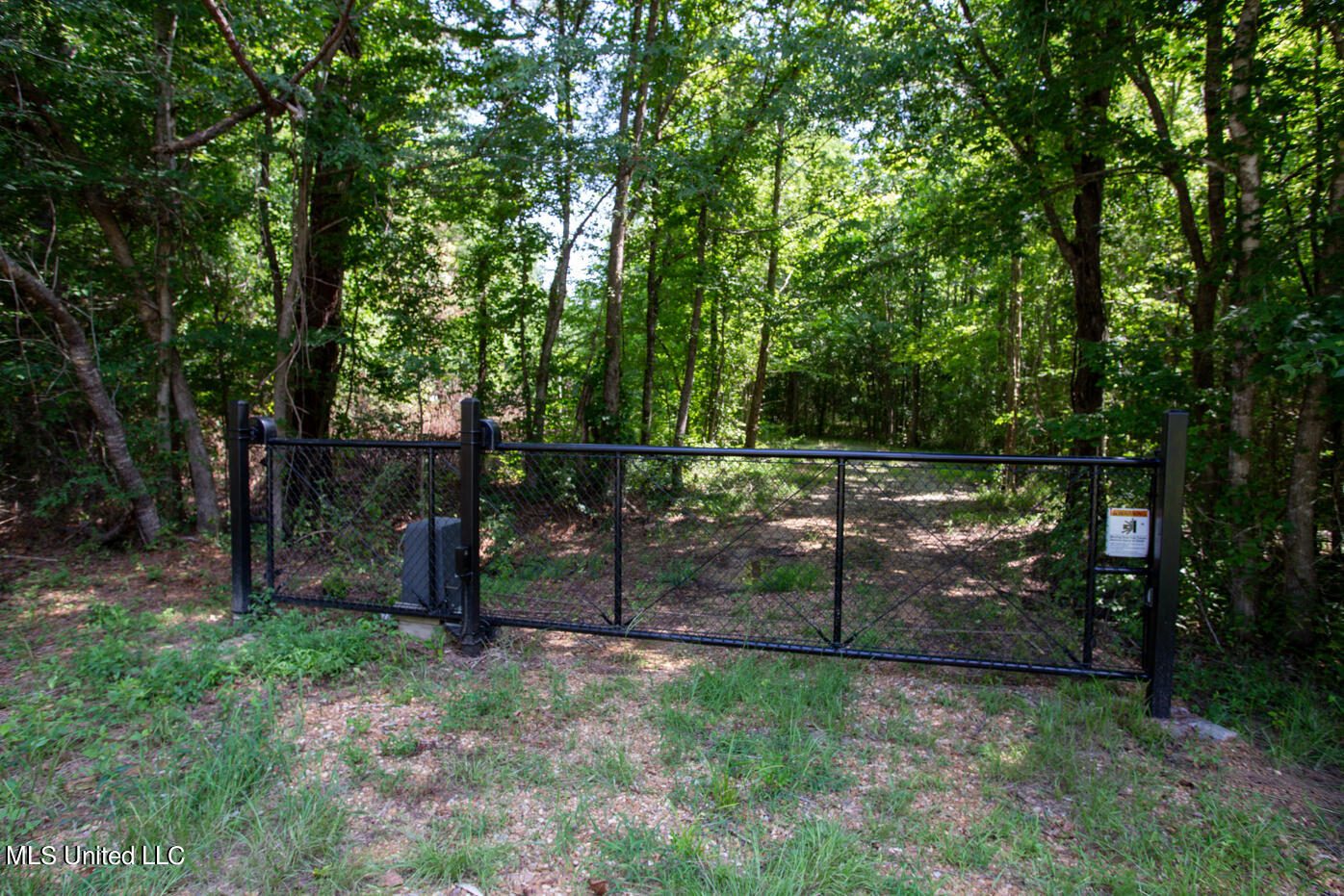 171 Mt Pilgrim Road Camden, MS 39045 - Photo 7 of 45 Brand new automated gate.
