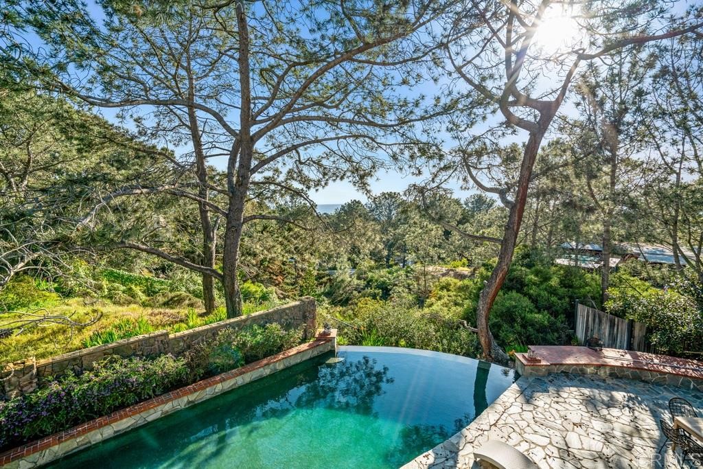 13598 Nogales Drive Del Mar, CA 92014 - Photo 21 of 21 a view of back yard